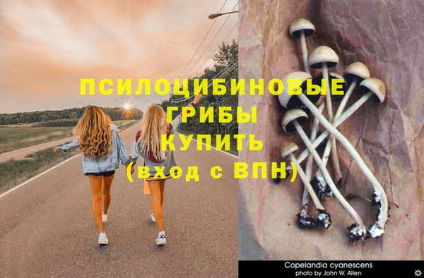 ALPHA-PVP Беломорск
