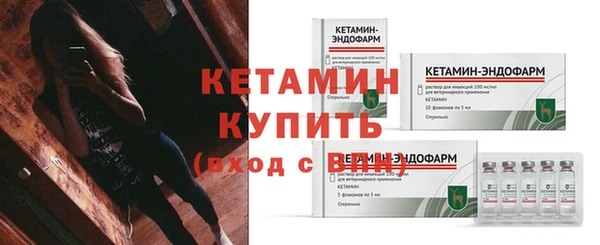 шишки Белокуриха