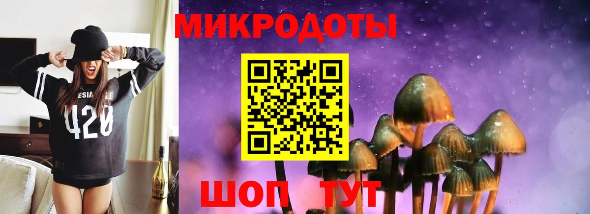 Нерюнгри  Псилоцибиновые грибы Magic Shrooms  продажа наркотиков  Вход с VPN  Псилоцибиновые грибы мухоморы 